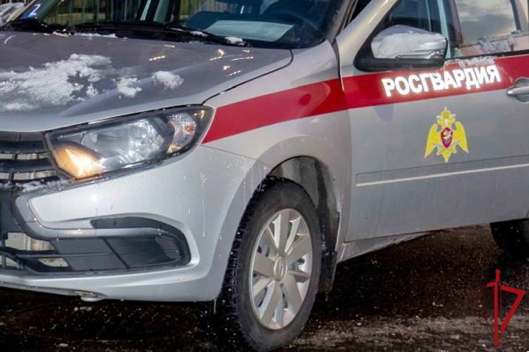 В Невском районе сотрудники Росгвардии разыскали и вернули родителям двух малолетних детей, потерявшихся во время прогулки 