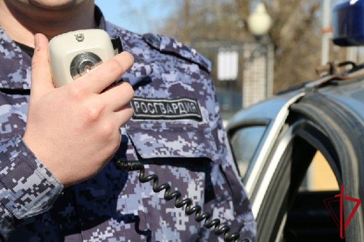 В Колпино сотрудники Росгвардии задержали гражданина, молотком разбившего домофон детского сада