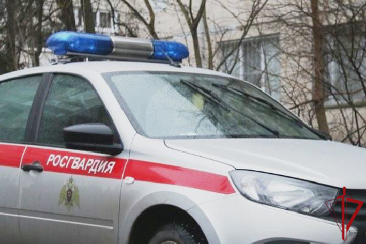 В Кировском районе сотрудники Росгвардии задержали правонарушителя, находившегося в общественном месте в неподобающем виде 