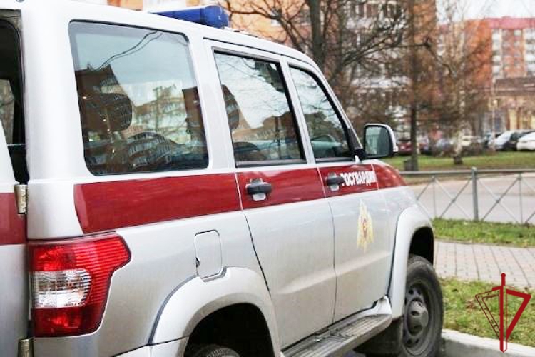 В Пушкине сотрудники вневедомственной охраны задержали правонарушителя, укравшего велосипед