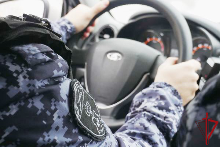 В Кировском районе сотрудники Росгвардии задержали рабочего, подозреваемого в краже кабеля со стройки станции метро 