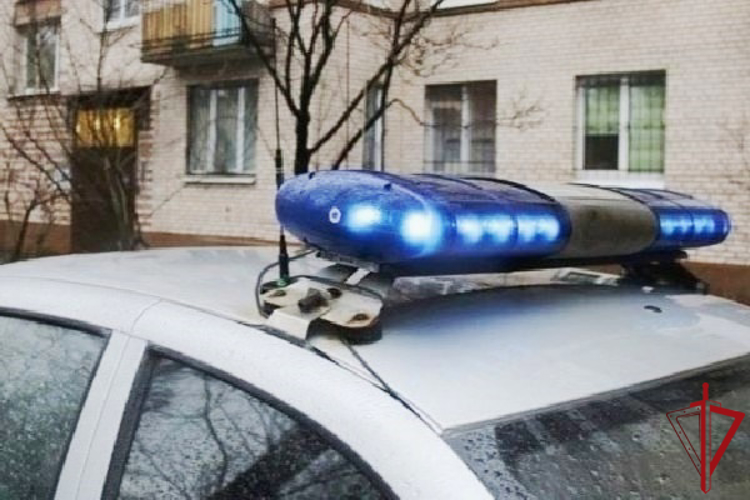 В Отрадном наряд Росгвардии задержал гражданина, находящегося в розыске за кражу