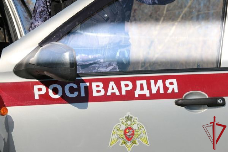 В Ленобласти росгвардейцы пришли на помощь 85-летней женщине, упавшей в обморок у церкви в Вербное воскресенье