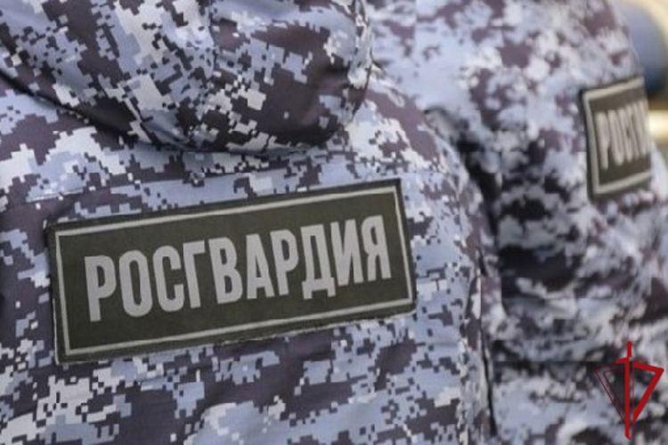 В Центральном районе сотрудники Росгвардии задержали хулигана, угрожавшего ножом прохожей
