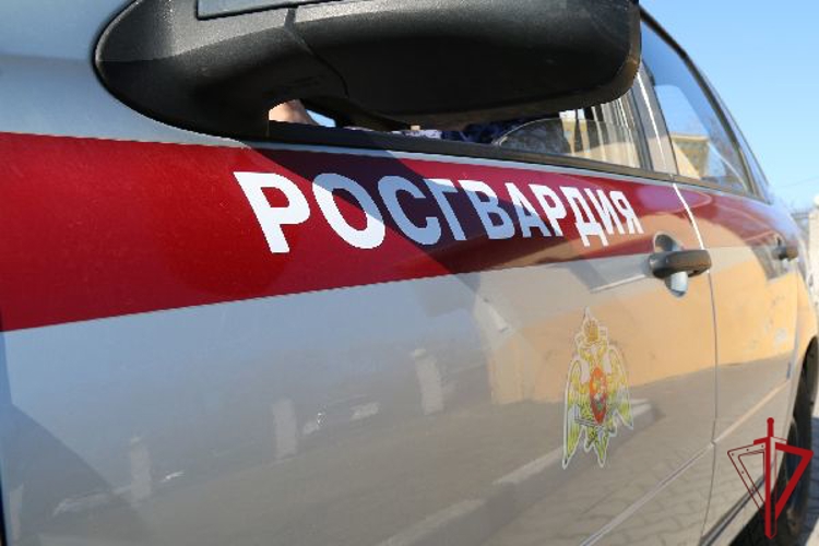 В Гатчинском районе сотрудники Росгвардии и полиции задержали правонарушителя, совершившего кражу из автомобиля