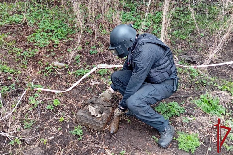 В Колпинском районе сотрудники ОМОН "Бастион" Росгвардии обследовали снаряды времён войны, обнаруженные водолазами на берегу реки Тосна