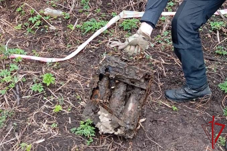 В Колпинском районе сотрудники ОМОН "Бастион" Росгвардии обследовали снаряды времён войны, обнаруженные водолазами на берегу реки Тосна