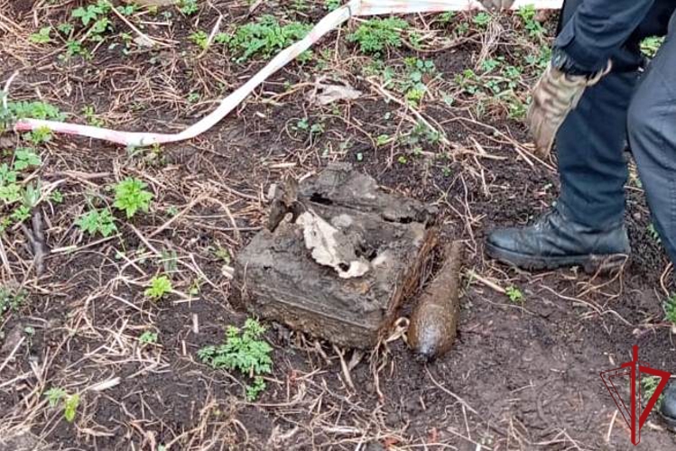В Колпинском районе сотрудники ОМОН "Бастион" Росгвардии обследовали снаряды времён войны, обнаруженные водолазами на берегу реки Тосна