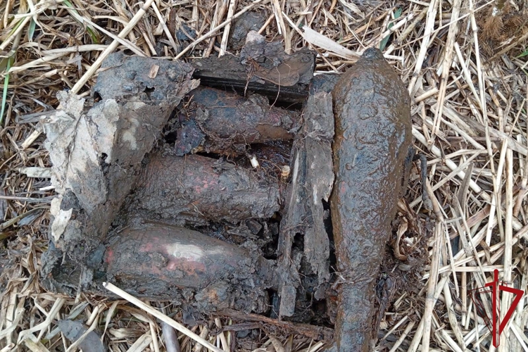 В Колпинском районе сотрудники ОМОН "Бастион" Росгвардии обследовали снаряды времён войны, обнаруженные водолазами на берегу реки Тосна