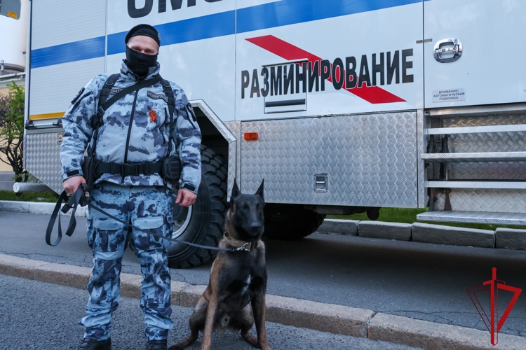 В Санкт-Петербурге в День Победы сотрудники и военнослужащие Росгвардии приняли участие в охране правопорядка и безопасности