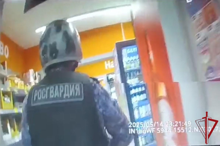 В Пушкинском районе сотрудники Росгвардии задержали рецидивиста, проникшего в закрытый на ночь сетевой магазин