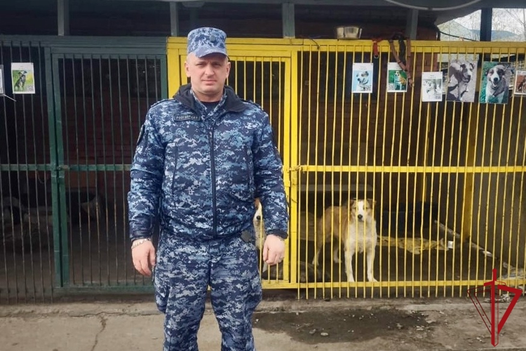 Петербургские росгвардейцы приняли участие в акции «Весенняя неделя добра»