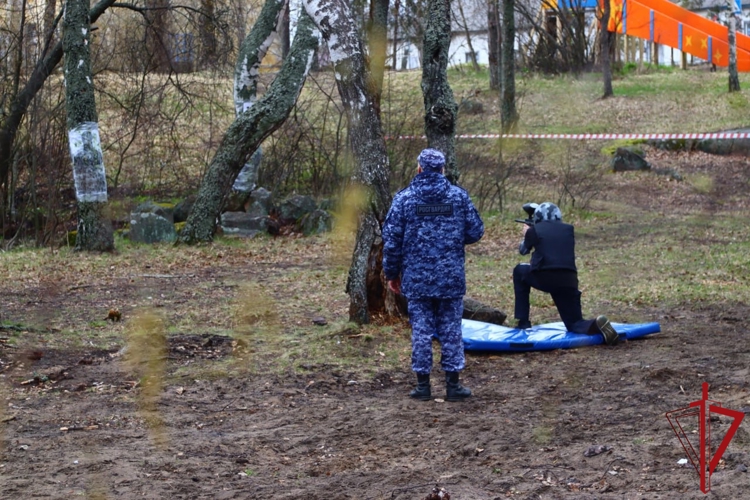 В Ленобласти сотрудники Росгвардии приняли участие в проведении III муниципального этапа игры "Зарни