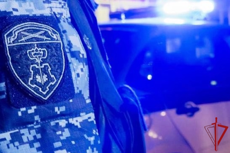 В Выборгском районе сотрудники Росгвардии и полиции задержали правонарушителя, находящегося в федеральном розыске