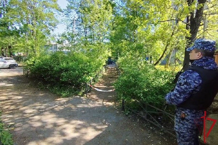 Сотрудники Росгвардии обеспечили охрану места обнаружения дикого животного до приезда специалистов Комитета по природопользованию