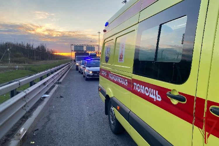 Сотрудники Росгвардии пришли на помощь водителю и пассажирам автомобиля, пострадавшим в результате аварии на 82-м километре КАД