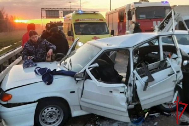 Сотрудники Росгвардии пришли на помощь водителю и пассажирам автомобиля, пострадавшим в результате аварии на 82-м километре КАД