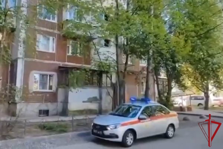 В Колпино сотрудники Росгвардии задержали рецидивиста, избившего супругу на глазах у несовершеннолетнего сына