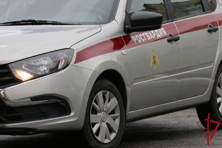 В Невском районе сотрудники Росгвардии задержали местного жителя, избившего сожительницу