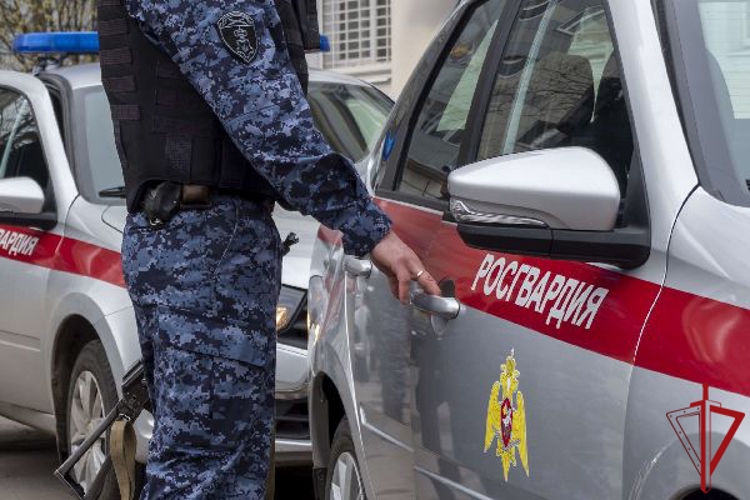В Красногвардейском районе сотрудники Росгвардии задержали нетрезвого мужчину, в квартире которого был обнаружен арсенал страйкбольного оружия