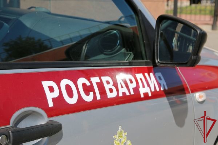Во Всеволожском районе Ленобласти росгвардейцы задержали хулигана, повредившего входную дверь банка