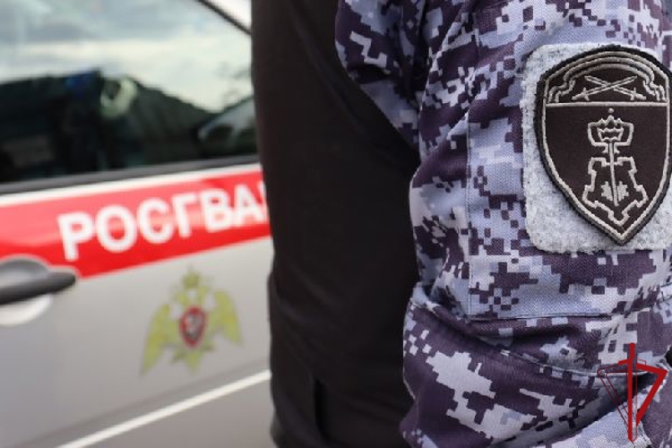 На петербургском кладбище сотрудники Росгвардии задержали гражданина, самовольно покрасившего элементы одного из мемориалов
