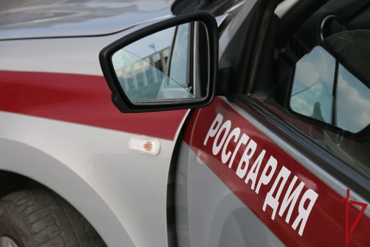 В Кировском районе наряд Росгвардии задержал правонарушителя, повредившего имущество учреждения и совершившего грабеж в магазине