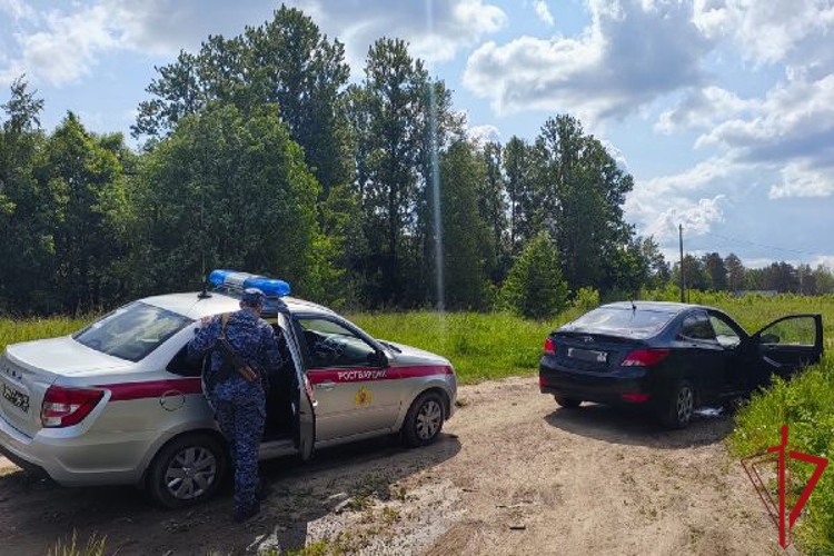 В Приморском районе сотрудники Росгвардии задержали водителя, повторно севшего за руль в нетрезвом виде