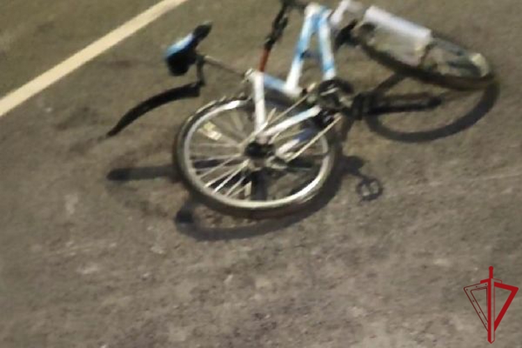 В Кронштадте сотрудники Росгвардии пришли на помощь упавшему с велосипеда мужчине