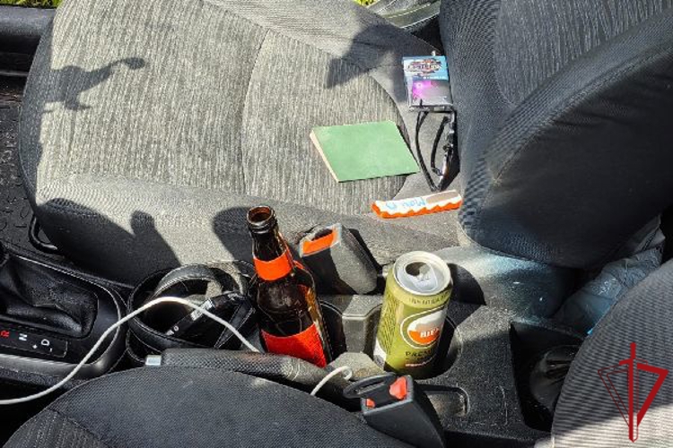 В Приморском районе сотрудники Росгвардии задержали водителя, повторно севшего за руль в нетрезвом виде