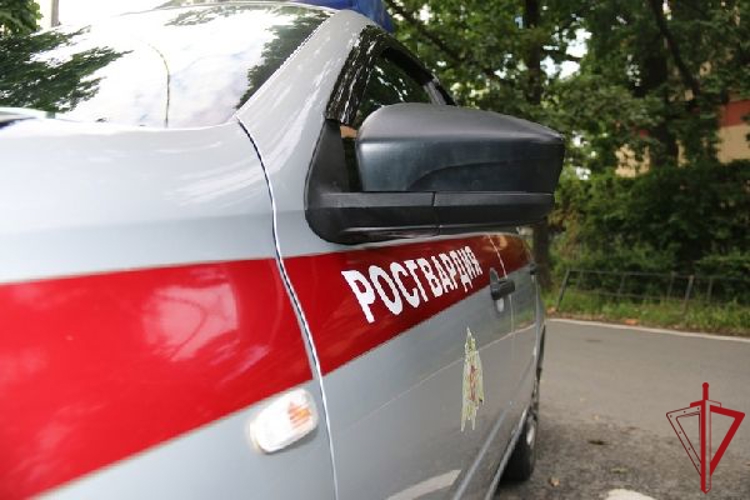В Кировском районе сотрудники Росгвардии задержали правонарушителей, ограбивших местного жителя