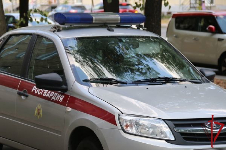 В Красногвардейском районе сотрудники Росгвардии задержали разыскиваемого рецидивиста, совершившего особо тяжкое преступление
