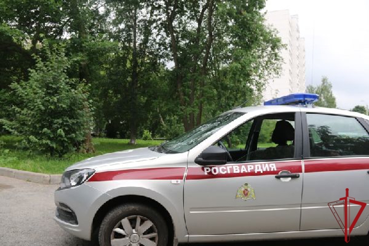 В Красногвардейском районе наряд Росгвардии задержал рецидивиста, похитившего инструменты из строящегося здания школы
