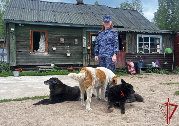 В Лодейнопольском районе сотрудники Росгвардии оказали помощь приюту для животных