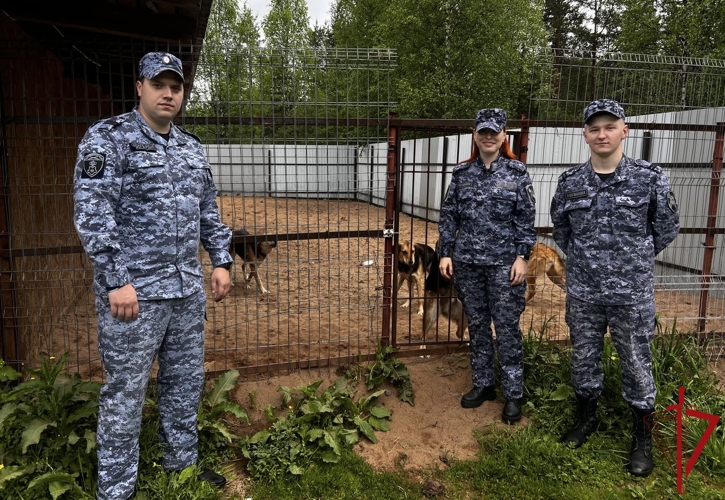 В Лодейнопольском районе сотрудники Росгвардии оказали помощь приюту для животных