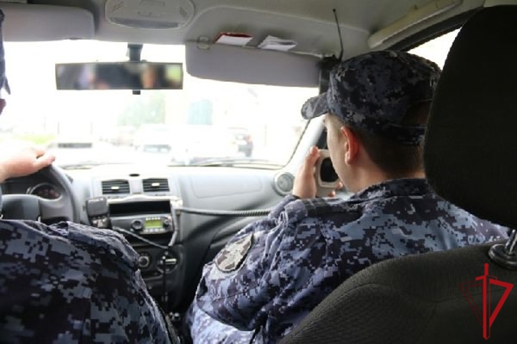 В Красногвардейском районе сотрудники Росгвардии вернули матери дочь, убежавшую во время поездки на автомобиле