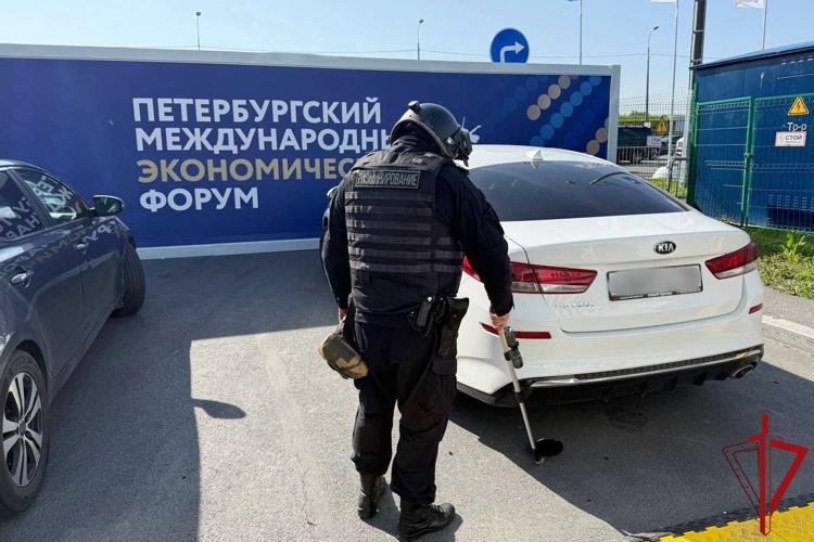 Сотрудники и военнослужащие Росгвардии приняли участие в обеспечении безопасности XXVIII Петербургского международного экономического форума