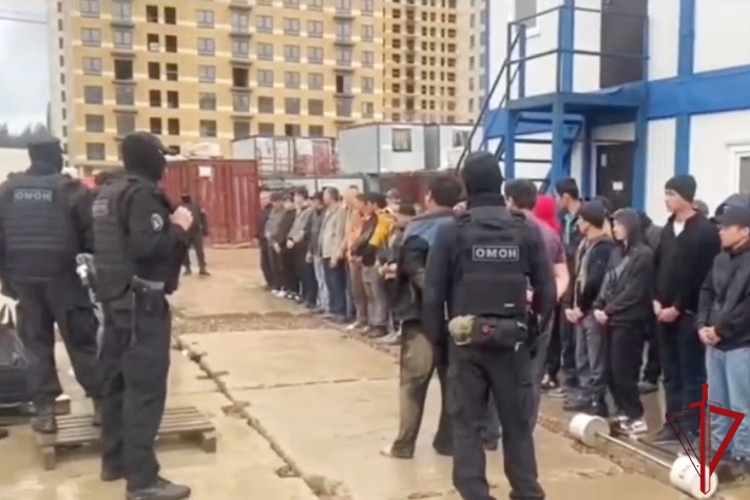 В Ленинградской области сотрудники Росгвардии оказали содействие полиции в пресечении деятельности по незаконной легализации мигрантов