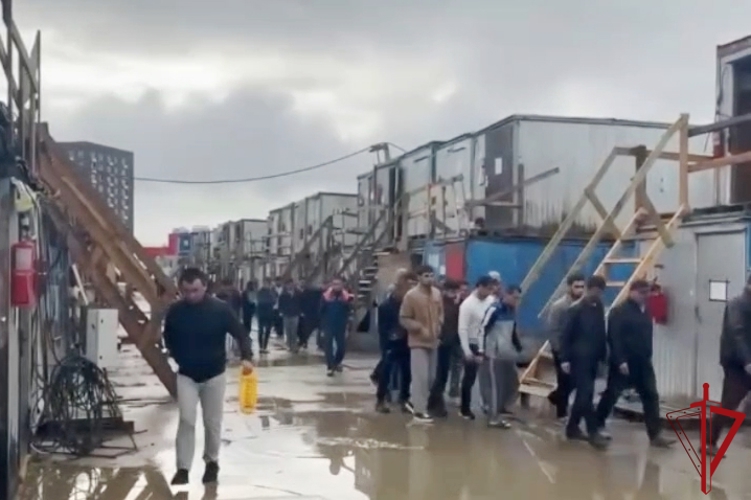 В Ленинградской области сотрудники Росгвардии оказали содействие полиции в пресечении деятельности по незаконной легализации мигрантов