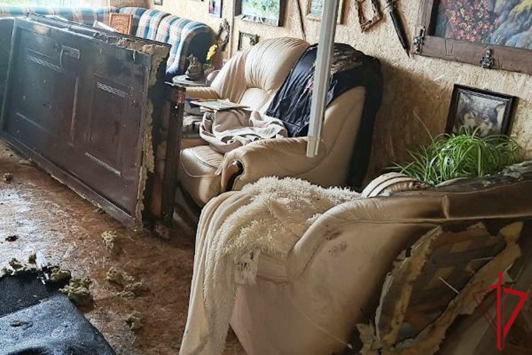 В Тихвине сотрудники Росгвардии и полиции передали медикам местного жителя, угрожавшего нанести себе ножевые ранения