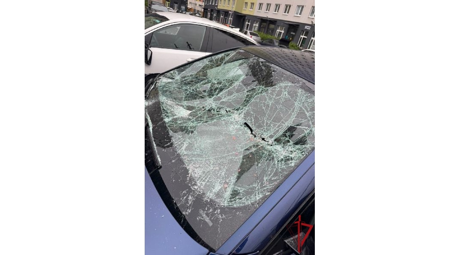 В Красногвардейском районе сотрудники Росгвардии задержали агрессивного хулигана, повредившего припаркованные автомобили