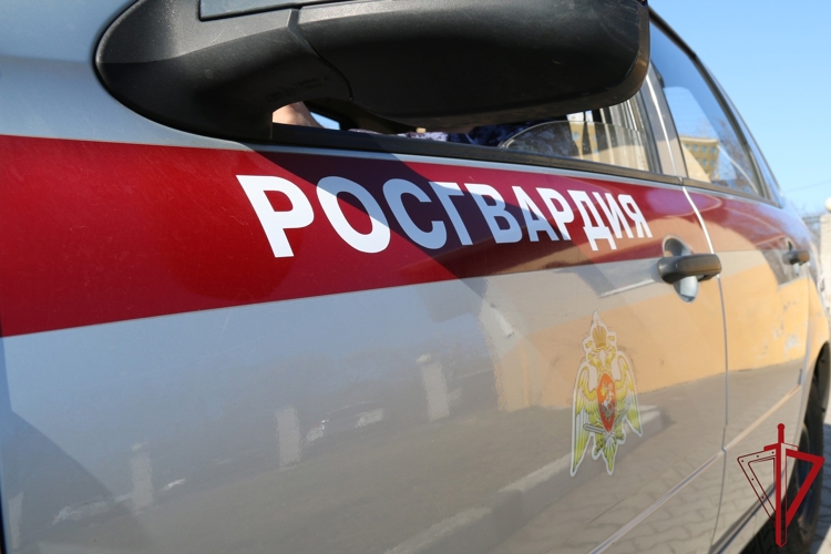 В Пушкинском районе сотрудники Росгвардии задержали злоумышленника, пытавшегося поджечь отделение банка «коктейлем Молотова»