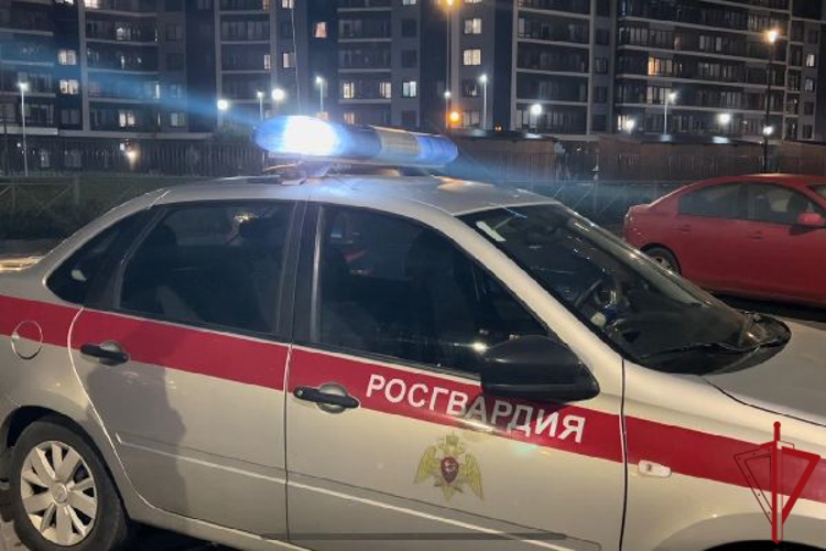 В Калининском районе наряд Росгвардии задержал уборщицу бара, похитившую у коллег банковские карты