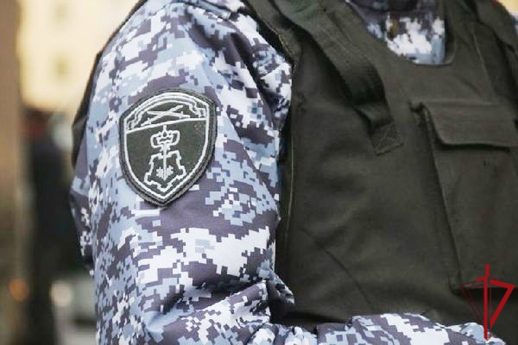 В поселке Шушары сотрудники Росгвардии задержали правонарушителя, проникшего на охраняемый объект