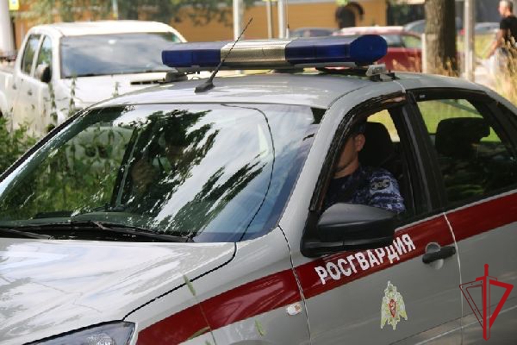 В Красногвардейском районе сотрудники Росгвардии задержали агрессивного хулигана, повредившего припаркованные автомобили