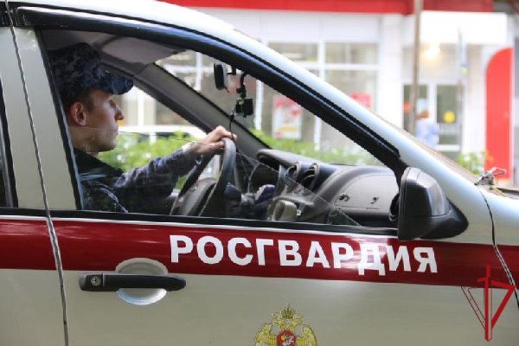В Красногвардейском районе наряд Росгвардии задержал хулиганов, избивших женщину и мешавших работе "скорой помощи"
