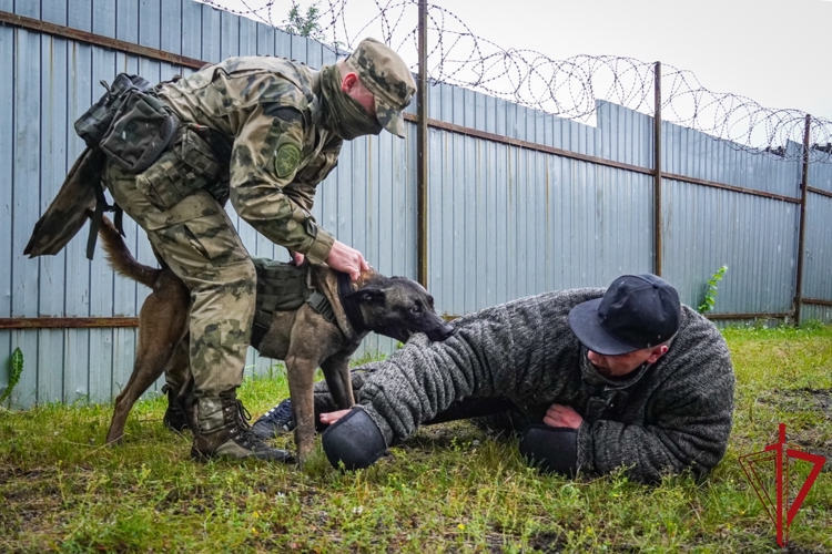 В Северо-Западном округе войск национальной гвардии РФ стартовал летний период подготовки