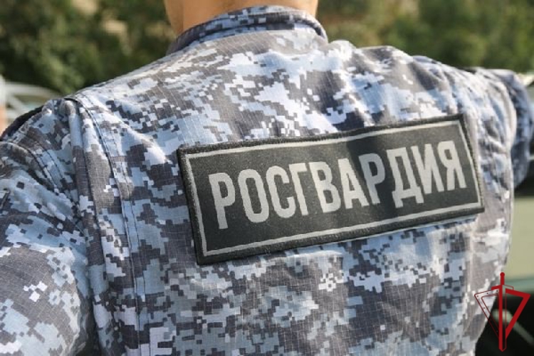 В Выборгском районе росгвардейцы задержали хулиганов, применивших газовый баллончик и нанесших побои двум прохожим