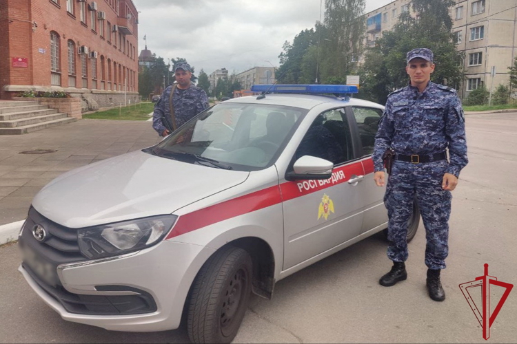 В Выборге росгвардейцы задержали водителя, совершившего ДТП, в результате которого пострадала женщина