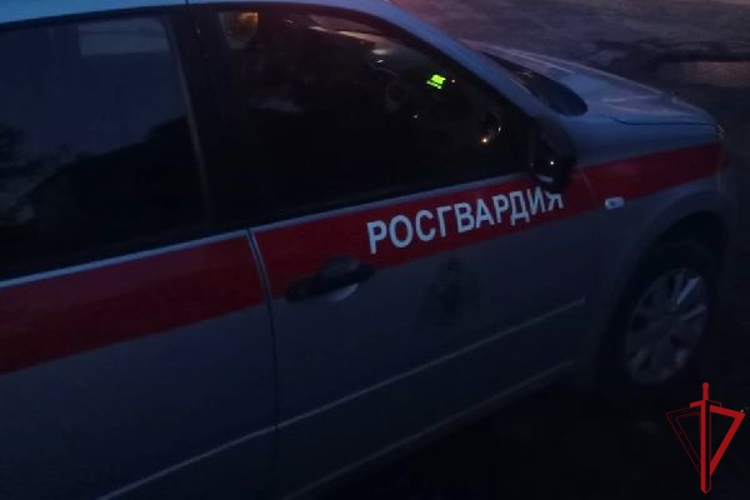 В Приморском районе росгвардейцы задержали правонарушителя, разбившего стекло и проникшего в салон автомобиля